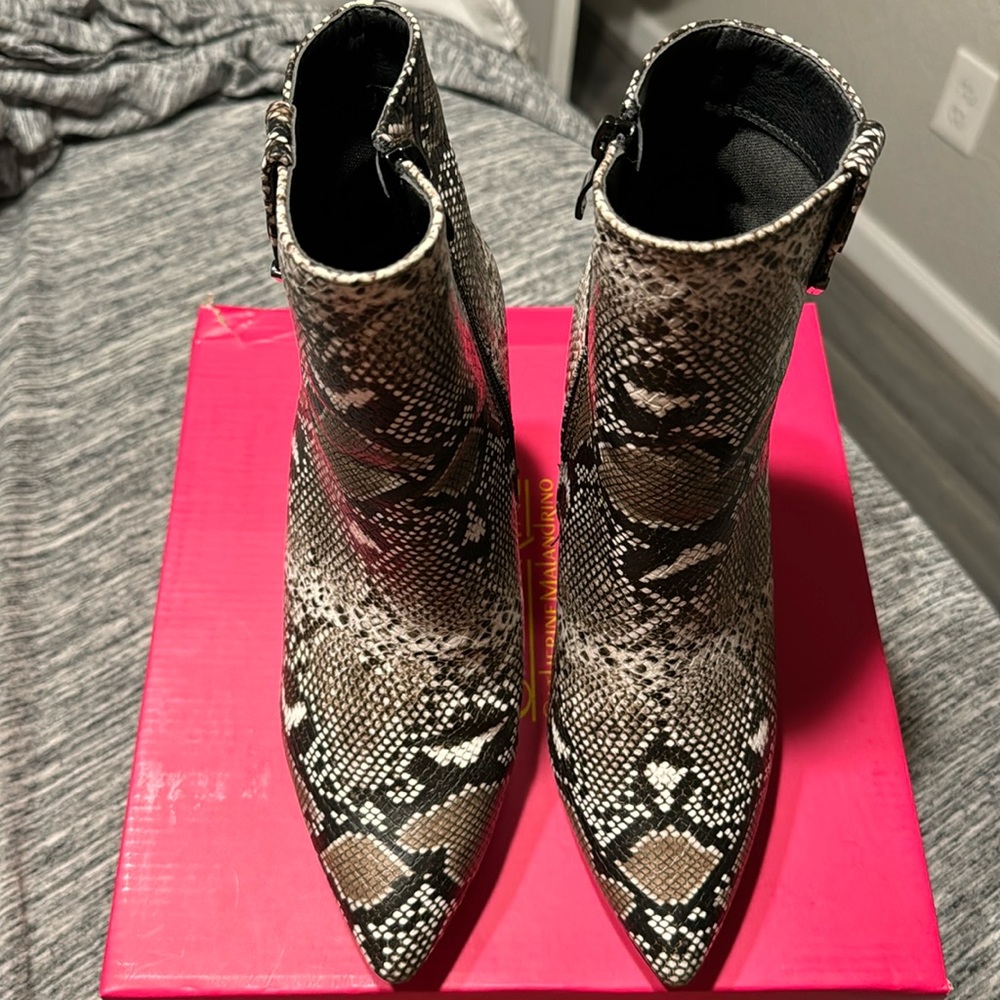 Size 8 snake print booties